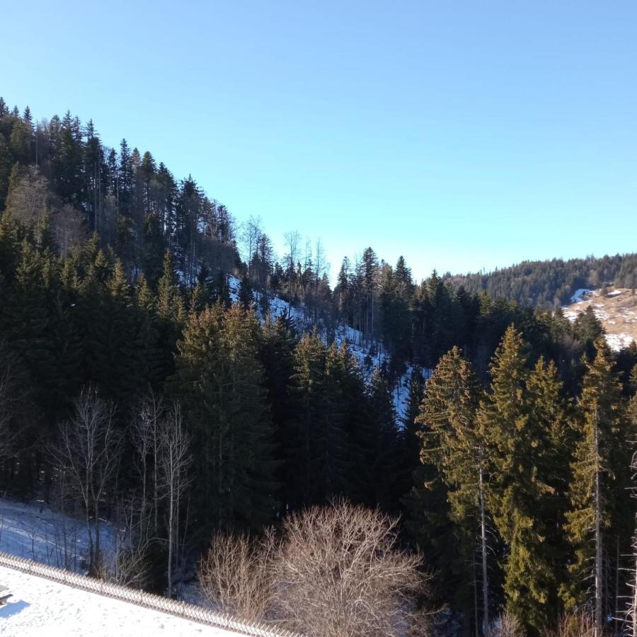Appartement Dernier Etage Au Pied Des Pistes Hirmentaz Bellevaux Екстериор снимка